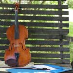 The Role of a Principal Violist in an Orchestra