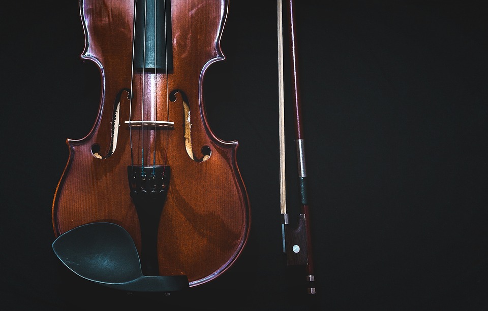 The Importance of a Skilled Violin Pedagogue