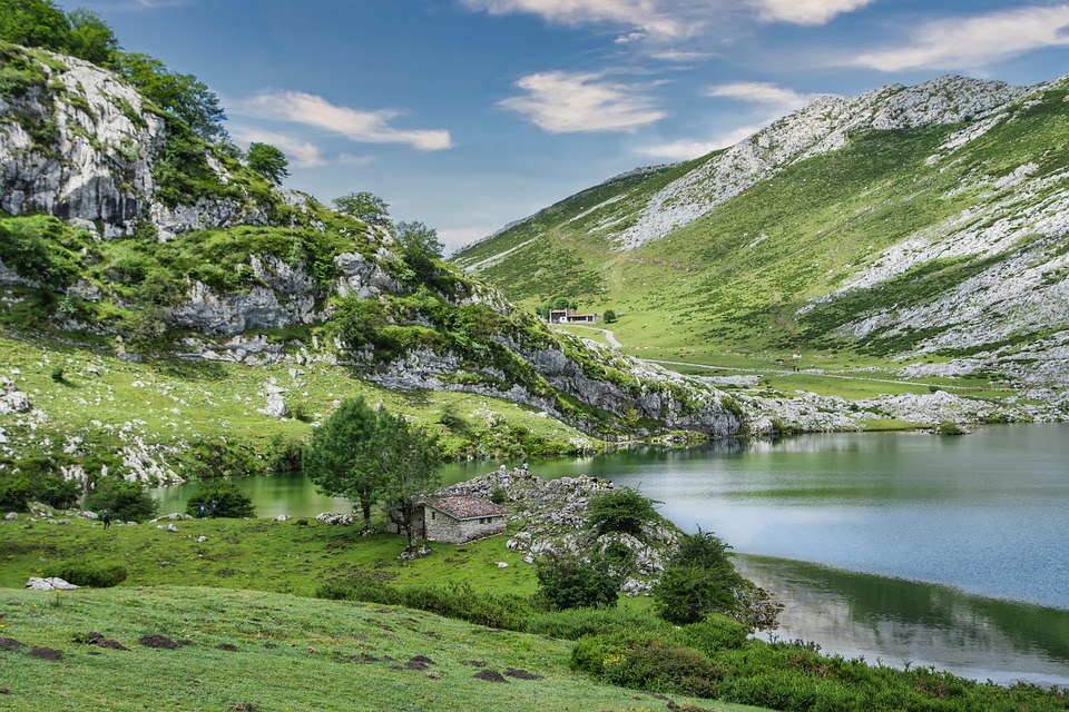 Strings in the Mountains Festival: A Music Lover’s Paradise