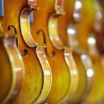 The Evolution of Violin Pedagogy: Past, Present, and Future